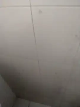 rohitlov150 online show from September 2025 02:53:02 PM