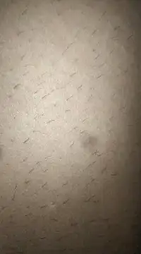 rohitlov150 online show from March 2025 12:50:02 PM