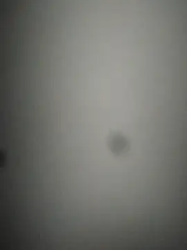 rohitlov150 online show from February 2025 02:40:02 AM