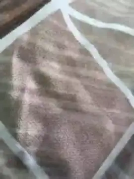 Snapshot of rohitlov150 chatting on March 2026 10:19:02 AM rohitlov150 online show from March 2026 10:19:02 AM