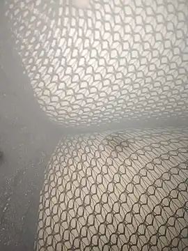 rohitlov150 online show from March 2025 10:13:01 PM