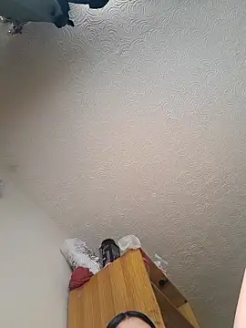 Sweel Leyva18 online show from November 2025 01:48:01 PM