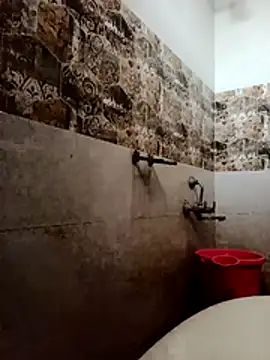 wildfox566 online show from December 2025 04:04:02 AM