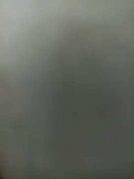 wildfox566 online show from March 2026 03:41:01 AM