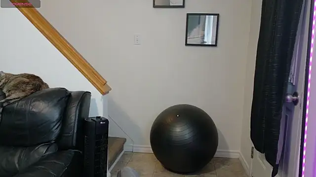 Thekodyy online show from November 2025 01:59:02 PM