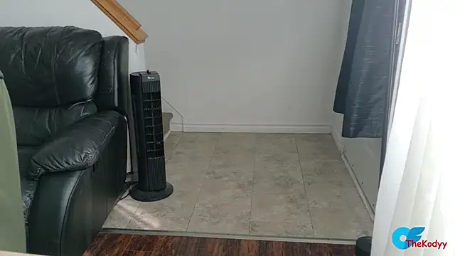 Thekodyy online show from May 2026 01:17:02 PM