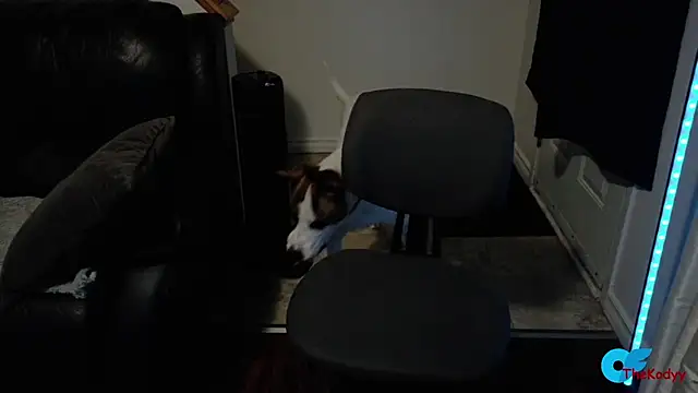 Thekodyy online show from February 2026 06:13:01 AM