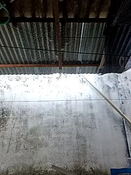      sams online show from March 2026 08:47:02 PM