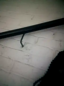 Shria107 online show from February 2026 11:50:01 PM