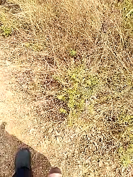 Mrveda66 online show from February 2026 06:14:02 AM