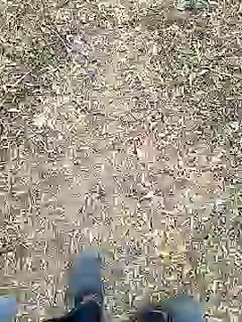 Mrveda66 online show from February 2026 11:09:02 AM