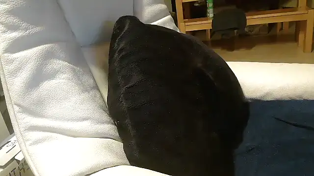 defttonguexxx online show from January 2026 09:21:02 PM