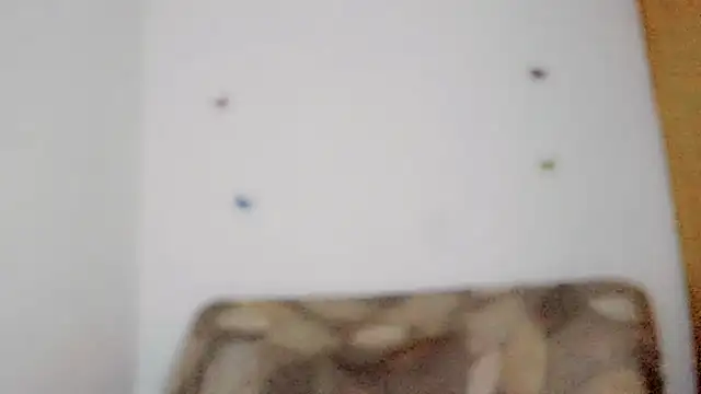 TatiGil online show from April 2026 08:49:01 PM