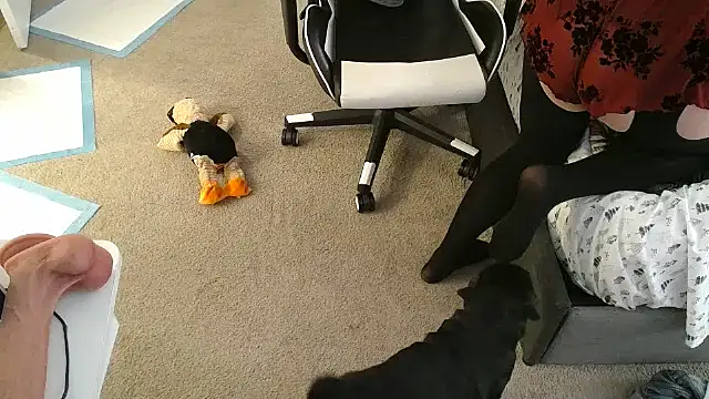 Snapshot of tan4868 chatting on November 2025 01:21:02 AM tan4868 online show from November 2025 01:21:02 AM