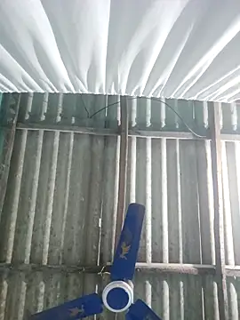 hotbaby 5 online show from November 2025 03:59:01 PM