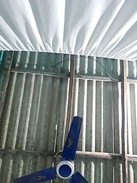 hotbaby 5 online show from November 2025 06:34:02 AM