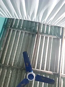 hotbaby 5 online show from November 2025 05:28:01 AM