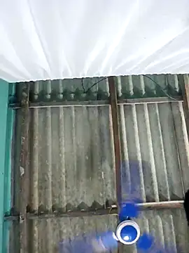 hotbaby 5 online show from November 2025 12:39:01 AM