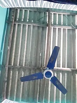 hotbaby 5 online show from November 2025 08:41:01 AM