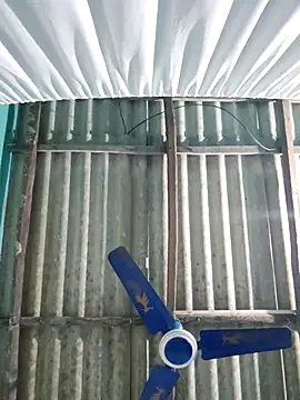 hotbaby 5 online show from November 2025 01:11:01 PM