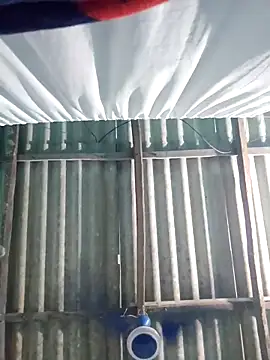 hotbaby 5 online show from November 2025 07:01:02 AM