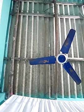 hotbaby 5 online show from November 2025 05:12:02 AM