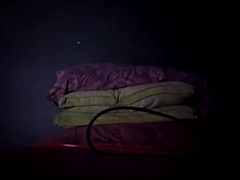 Samporterbridges online show from April 2026 07:20:02 AM