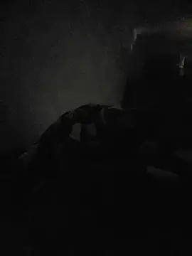 bigdig22cm online show from May 2026 01:18:01 PM