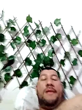 Snapshot of therollingg chatting on March 2025 03:51:01 AM therollingg online show from March 2025 03:51:01 AM