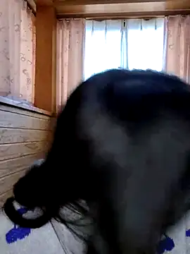 Kurage chan online show from February 2025 03:20:01 AM