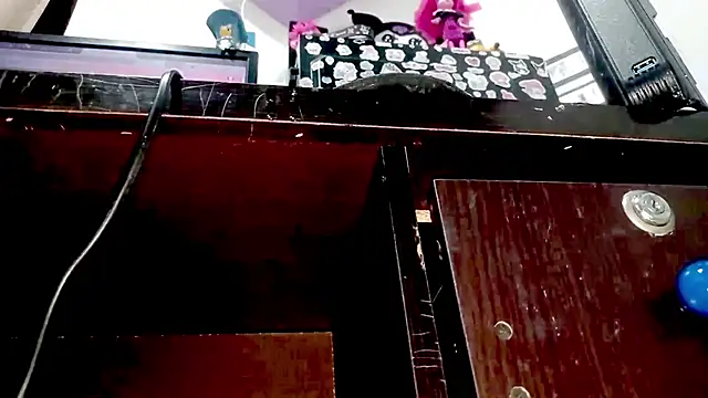 PetiteIvoryQueen19 online show from November 2025 03:55:02 AM