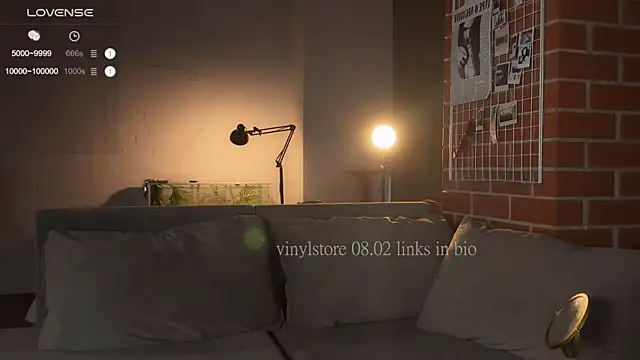 Snapshot of vinylstore chatting on February 2025 12:39:02 PM vinylstore online show from February 2025 12:39:02 PM