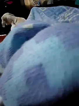 Camilo-31RI online show from April 2026 07:20:02 PM