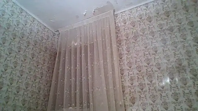 beardken online show from May 2026 10:59:02 AM