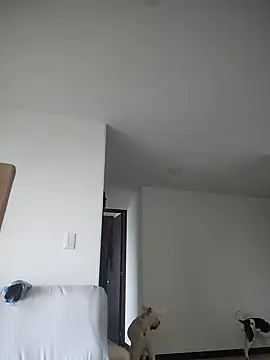 Snapshot of 911Calling chatting on February 2025 09:41:02 PM 911Calling online show from February 2025 09:41:02 PM