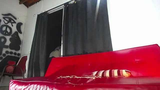Snapshot of Dexter-T chatting on December 2024 08:15:01 AM Dexter-T online show from December 2024 08:15:01 AM