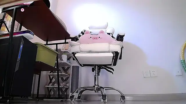 CN-Doudou online show from April 2026 04:30:01 AM