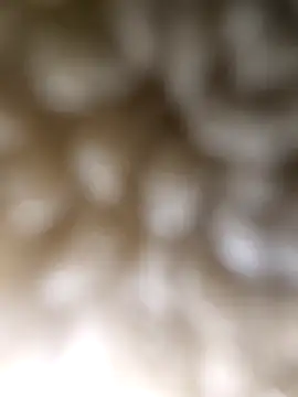 ch   ro69 online show from March 2026 09:22:02 PM