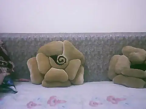 Snapshot of LOVE-SUSHILA chatting on November 2025 08:30:02 AM LOVE-SUSHILA online show from November 2025 08:30:02 AM