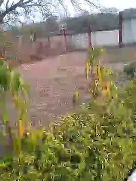 Snapshot of AuntyLover_BhabhiLover_ chatting on February 2025 12:04:01 PM AuntyLover BhabhiLover online show from February 2025 12:04:01 PM