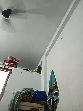 pintuS40 online show from February 2026 10:33:02 PM