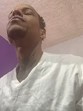 Salomon koude online show from March 2026 03:17:02 AM