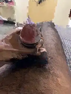 Thinboycock online show from October 2025 01:12:02 PM