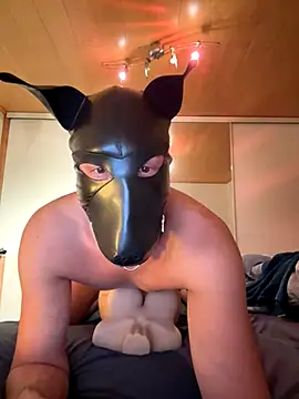 PlayDog123 online show from November 2025 04:40:01 PM