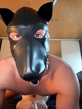 PlayDog123 online show from November 2025 03:16:02 PM