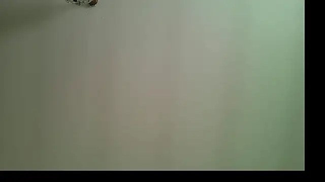 panigalenew online show from October 2025 12:28:01 PM