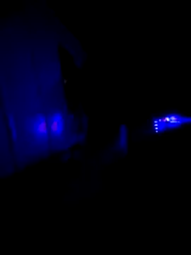 KAZADO LIBERAL online show from February 2026 11:34:01 AM