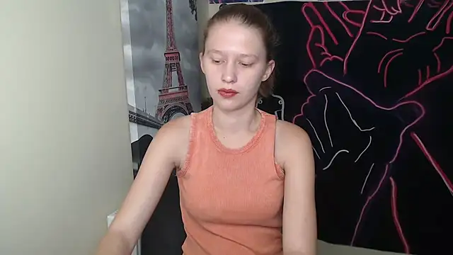 Snapshot of StellaCRL chatting on September 2025 06:17:01 AM StellaCRL online show from September 2025 06:17:01 AM