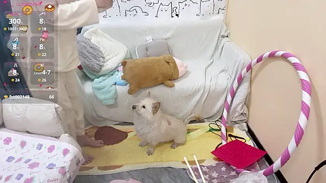 Supassra Sp online show from January 2025 02:03:02 PM