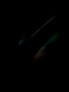 Inkognito0495 online show from May 2026 03:13:01 AM